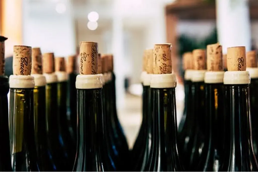 Bottles of wine standing upright with the label obscured for a wine draw.