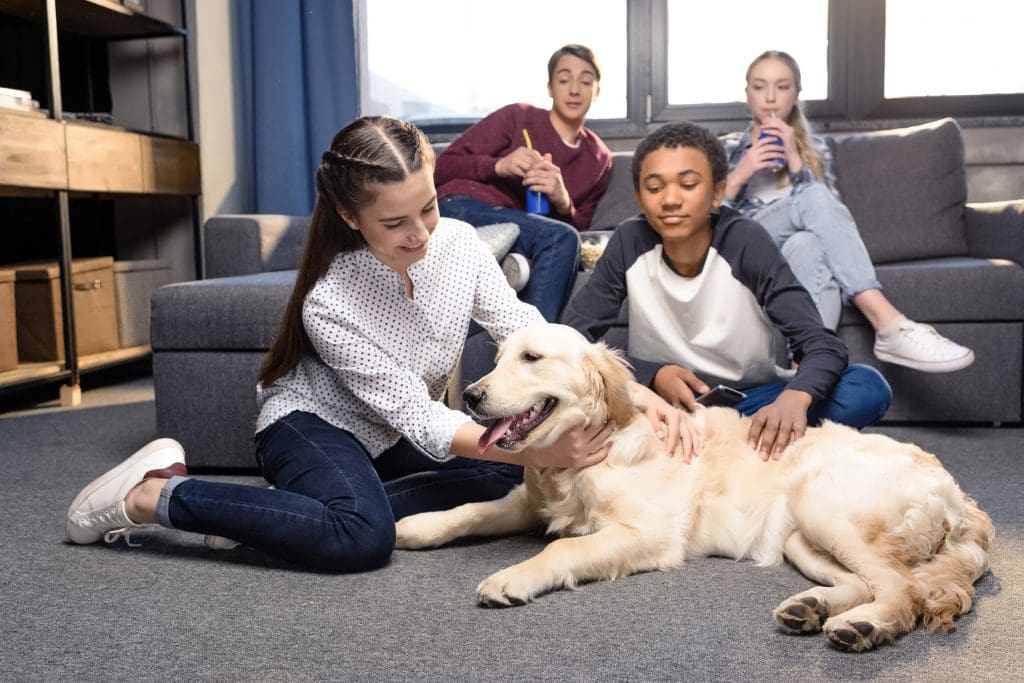 Students play with a dog in a school library.